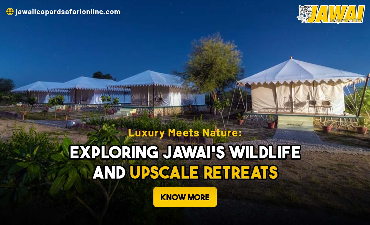 Exploring Jawai’s Wildlife and Upscale Retreats Exploring Jawai's Wildlife and Upscale Retreats
